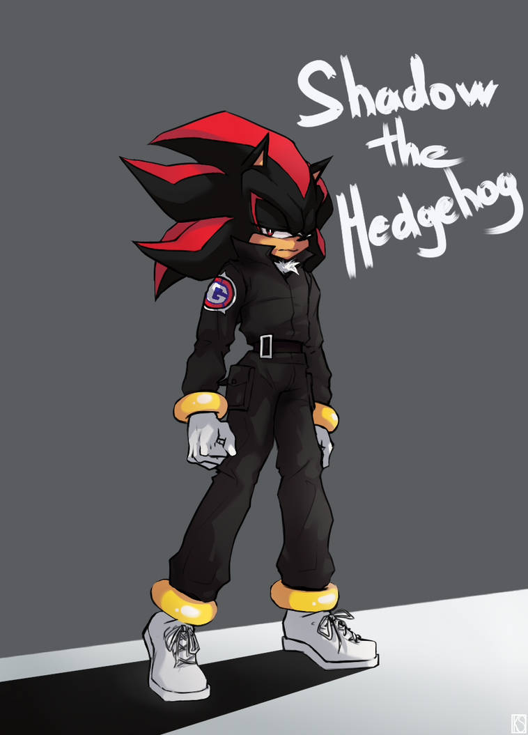 Shadow the Hedgehog by AniSair on DeviantArt