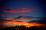 Flames. by teresa-lynn