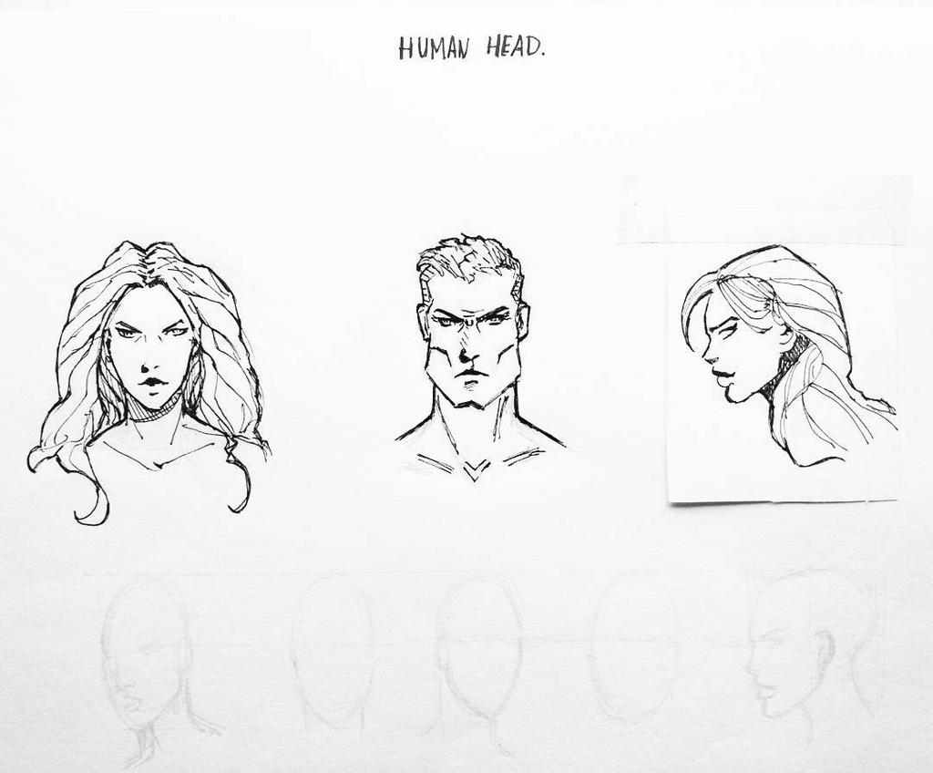 basic human head study by juliogomez on DeviantArt