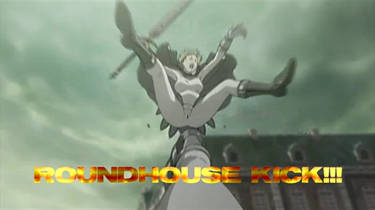 ROUNDHOUSE KICK-Kurokarasu