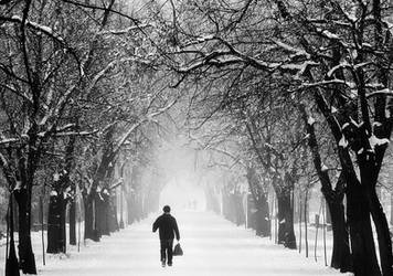 White tunnel