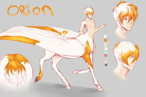 Orion Ref sheet