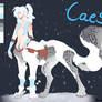 Caesar NEW REF