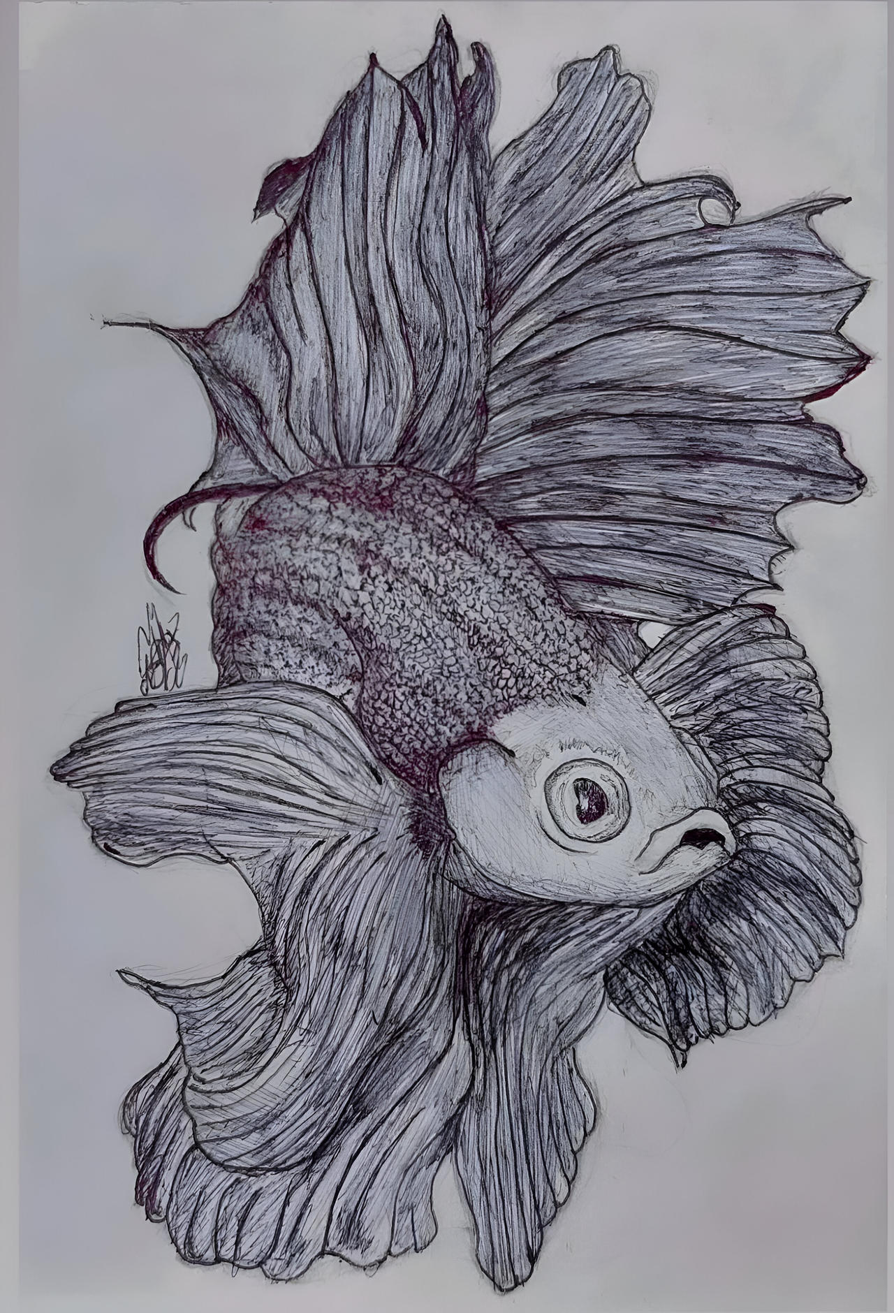 Sketch Fish ink by Mcnuaj on DeviantArt
