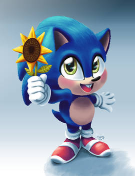 Baby Sonic