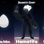 Hematite Dolomite Court App