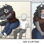 Not a Lap Dog