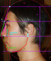 man standard face ratio - side