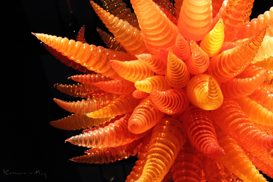 Chihuly