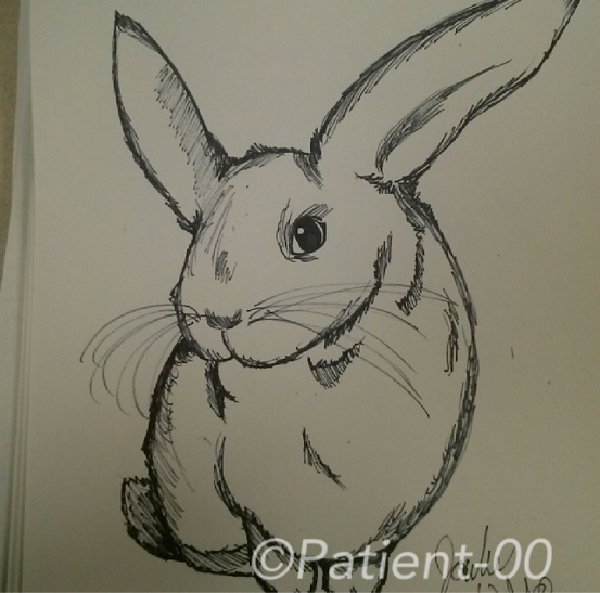Unrealistic Rabbit Sketch by patient-00 on DeviantArt
