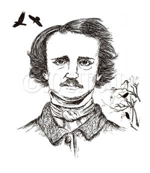 Edgar Allen Poe Portrait Illustration