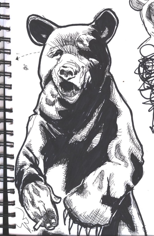 somebody in a bear outfit