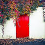 Red Door Fall