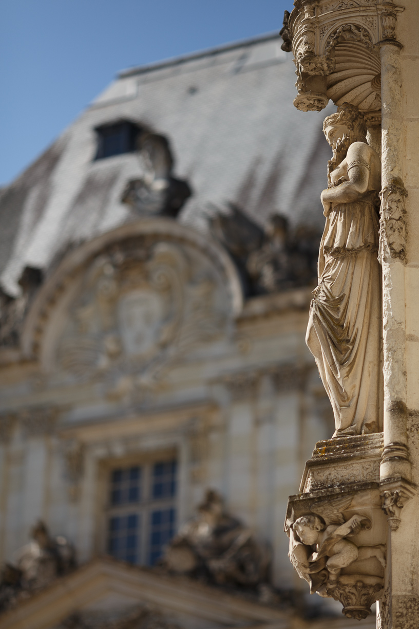 Chateau de Blois 8