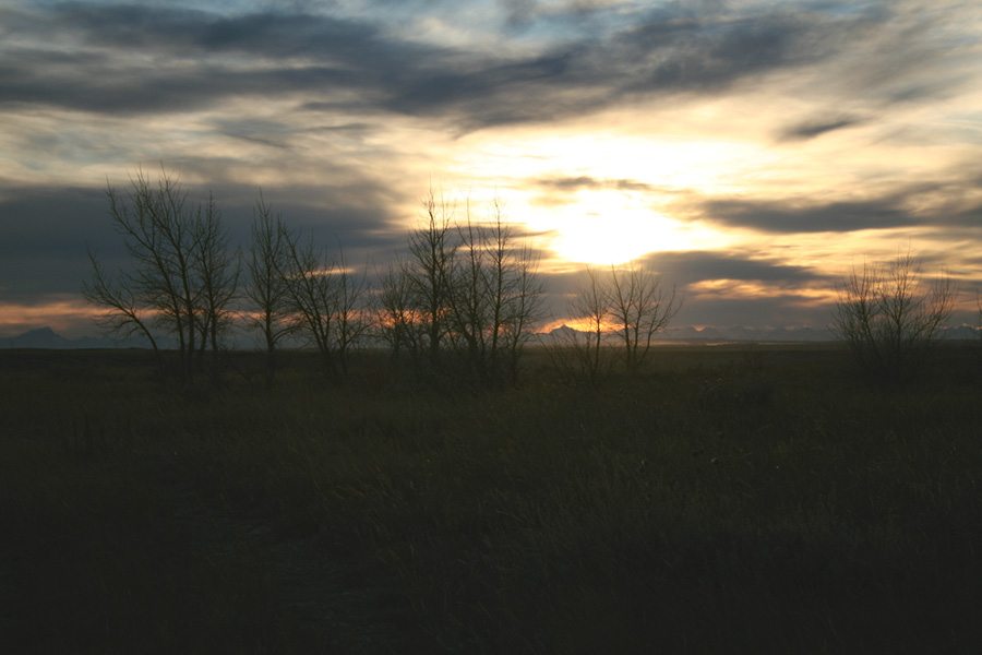 mountain trail