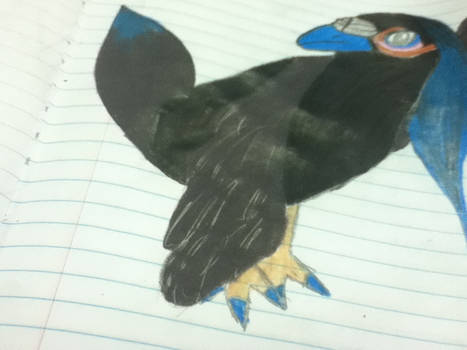 Nevamore, the Raven Pokemon