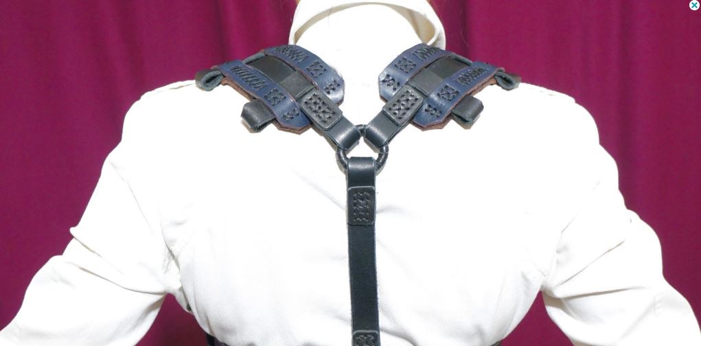 Harness with a scapulars