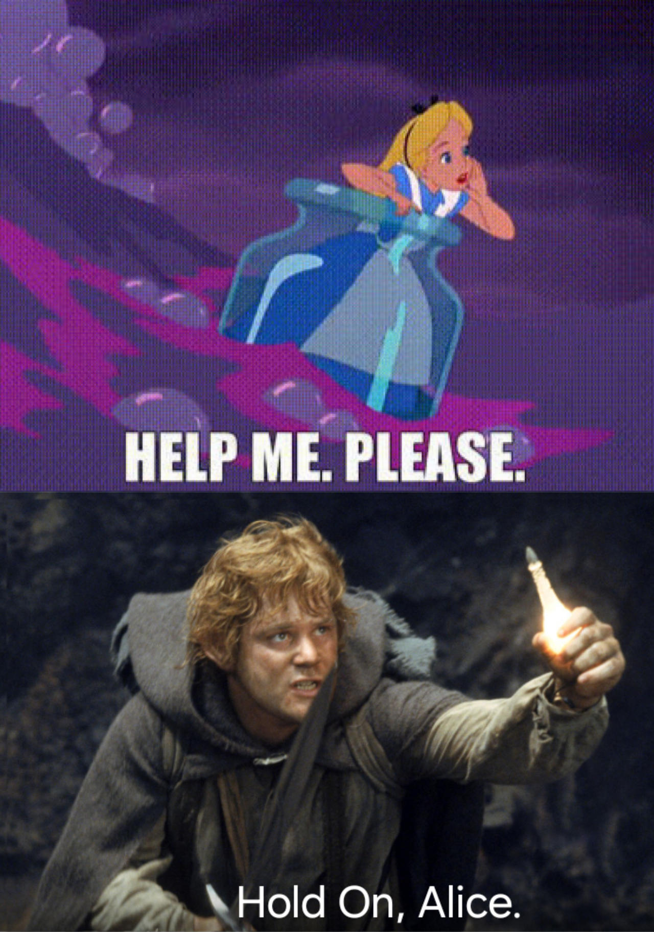Samwise Rabbit Samwise will Help Alice by Loveheartsunshine1 on DeviantArt
