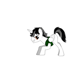 J's Pony Form 'Equestrian Form'