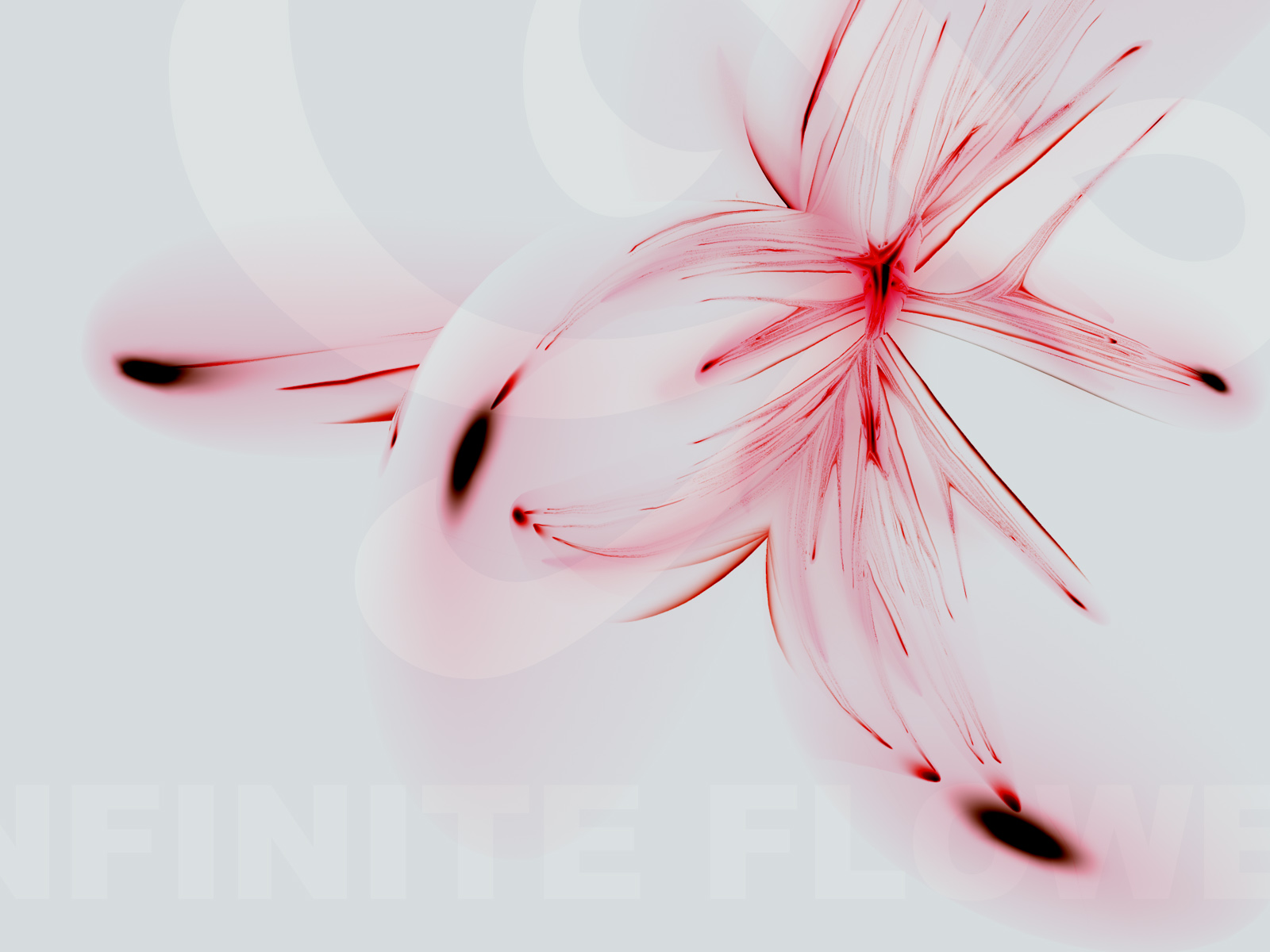 Infinite Flower