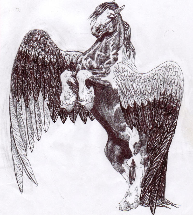 Kathy's Pegasus