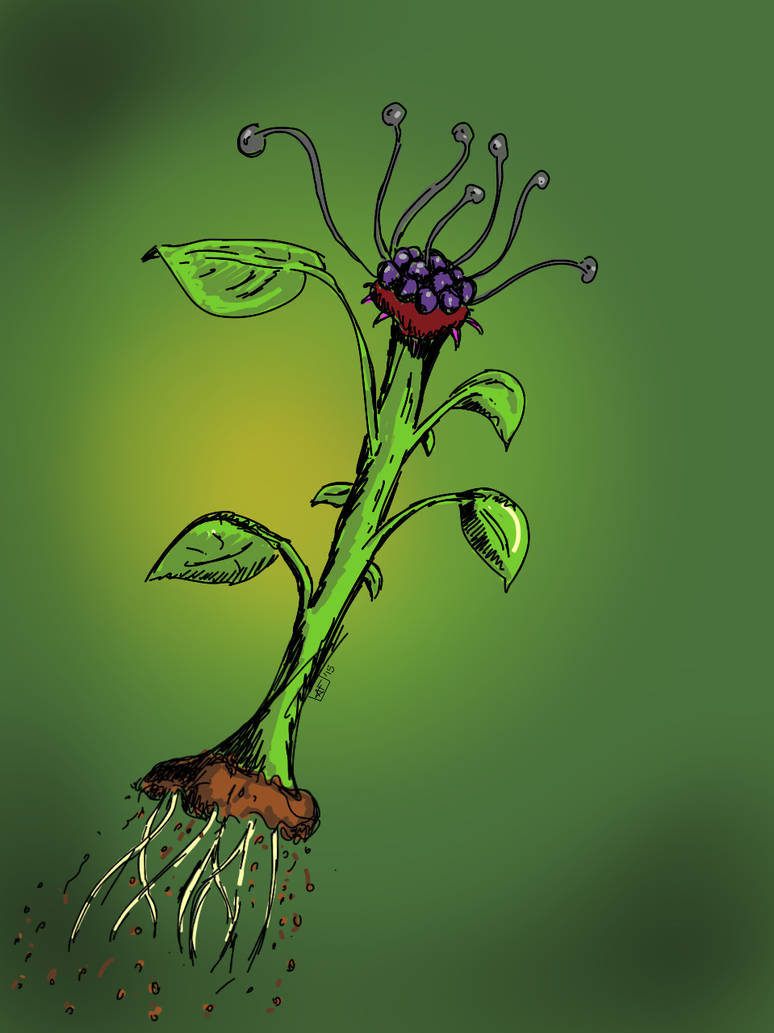 Plant Deviantart Plant by Collection2913 on DeviantArt