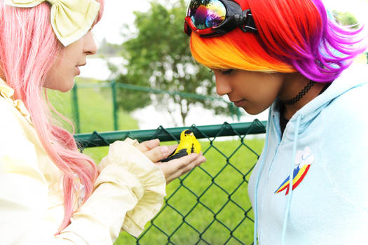 Fluttershy and Rainbow Dash: Find a Pet