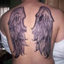 My Wings