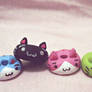 Neko donuts :3