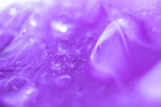 Purple droplets