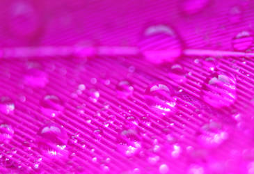 Pink droplets