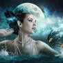 Fresh Moon Wine