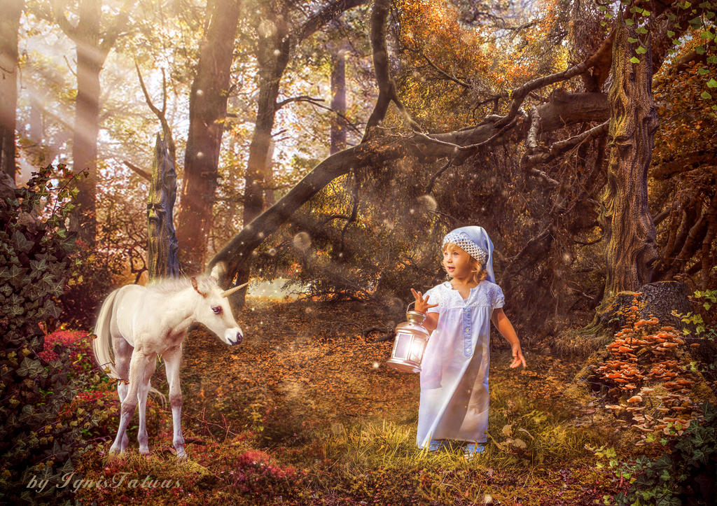 Fairytales of Autumn forest by IgnisFatuusII Fairytales of Autumn forest by IgnisFatuusII