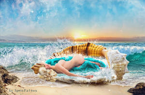 Venus Marina