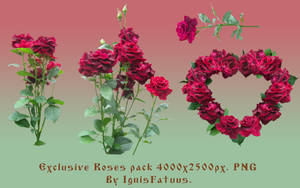 Roses  exclusive pack5