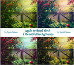 Apple orchard-Backgrounds-Stock