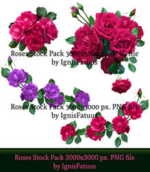 Roses Stock8 Preview by IgnisFatuus 