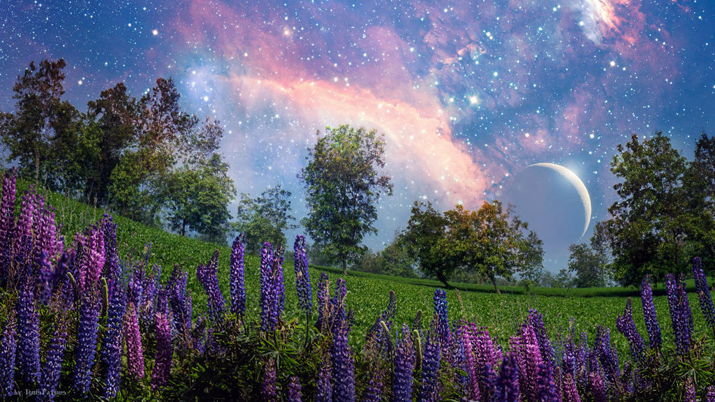 Wallpaper Nature by IgnisFatuusII