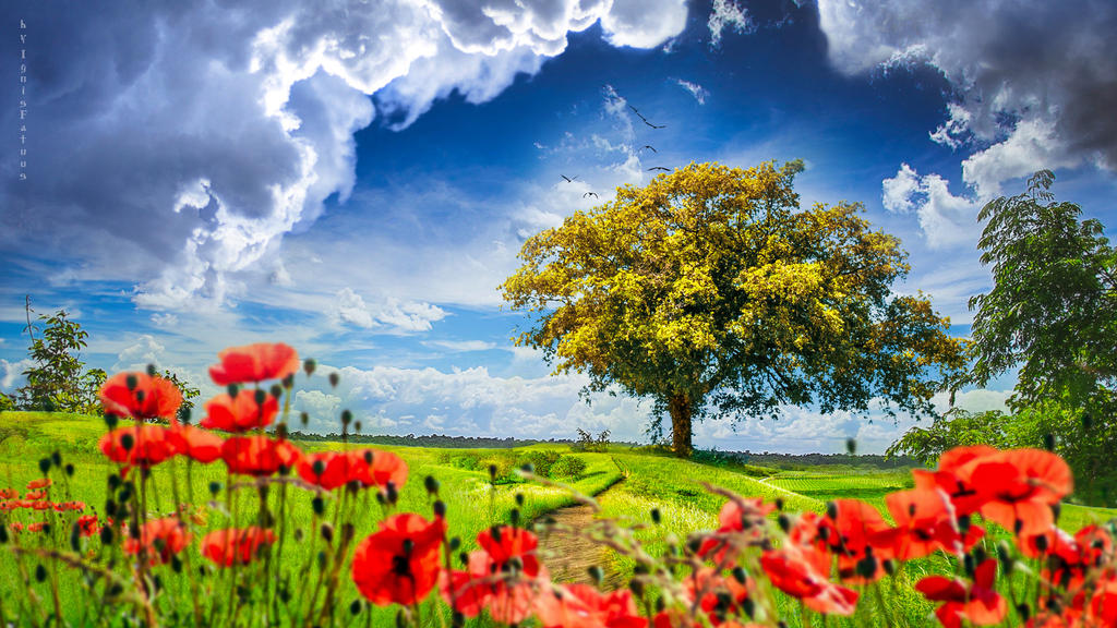 Blue sky_wallpaper 1920x1080 by IgnisFatuusII