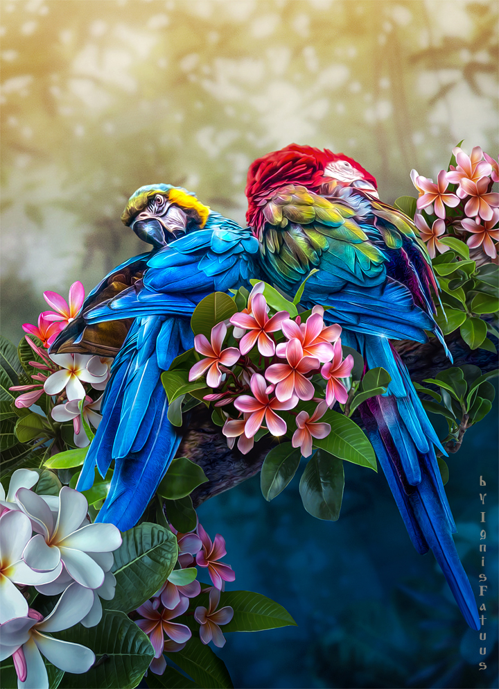 Preen one's feathers by IgnisFatuusII