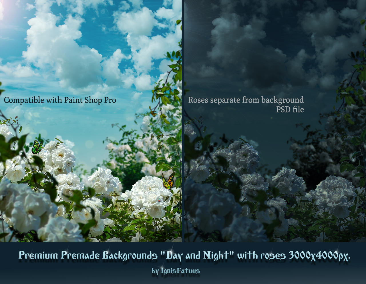 preview Premium premade Backgrounds by IgnisFatuusII