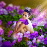 VioletsFairy