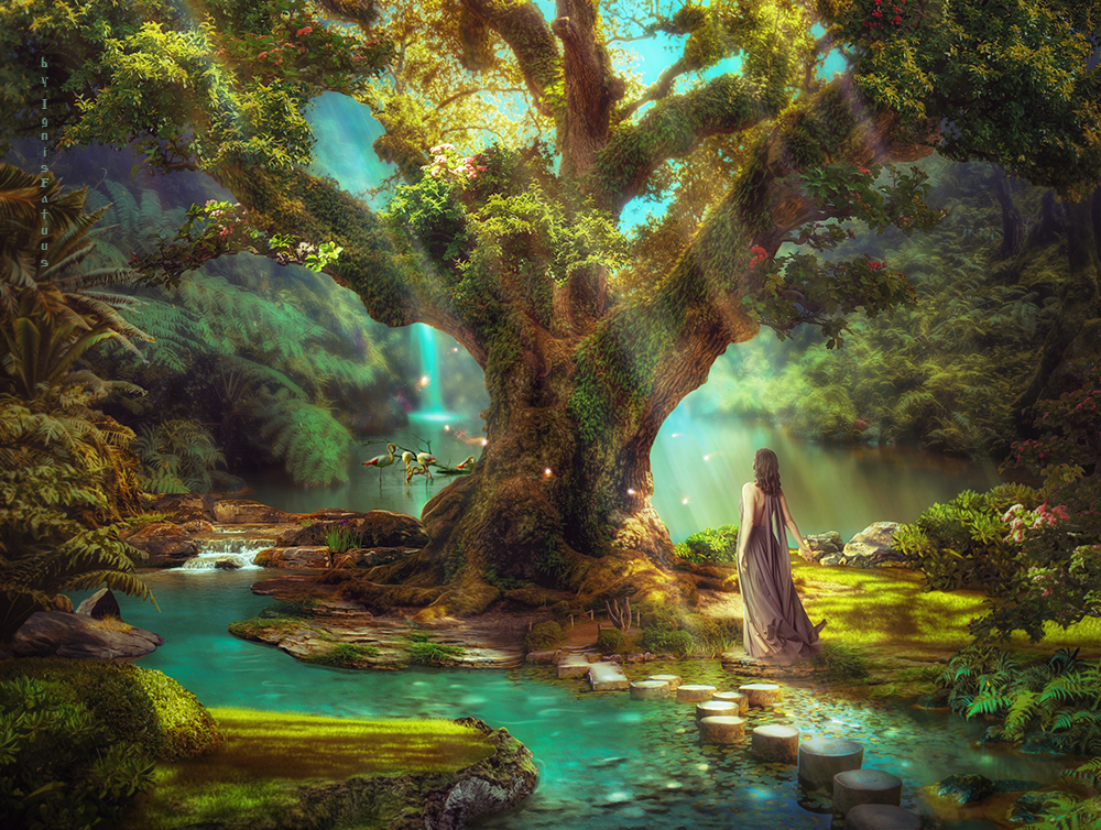 MagicOfTheOldTree by IgnisFatuusII on DeviantArt