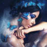 ButterflyDreams