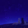 DotW | Under the Stars
