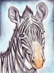 Zebra by Kqeina