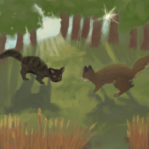 Two cats playing in the woods