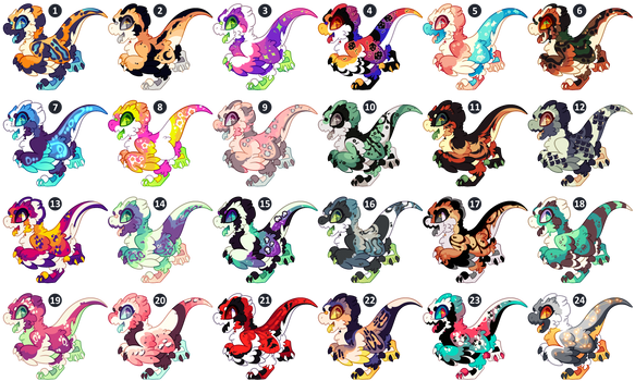 Raptor Adopts Set Price | CLOSED