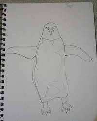 Sketchbook Assignment: Penguin