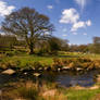 Dartmoor Scene